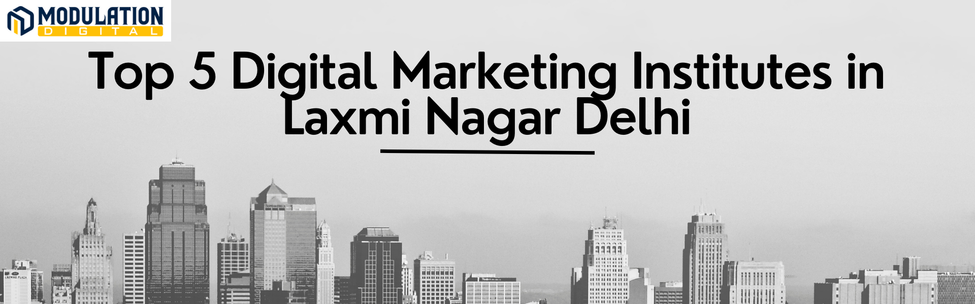 Best Digital Marketing Institute  in Laxmi Nagar Delhi
